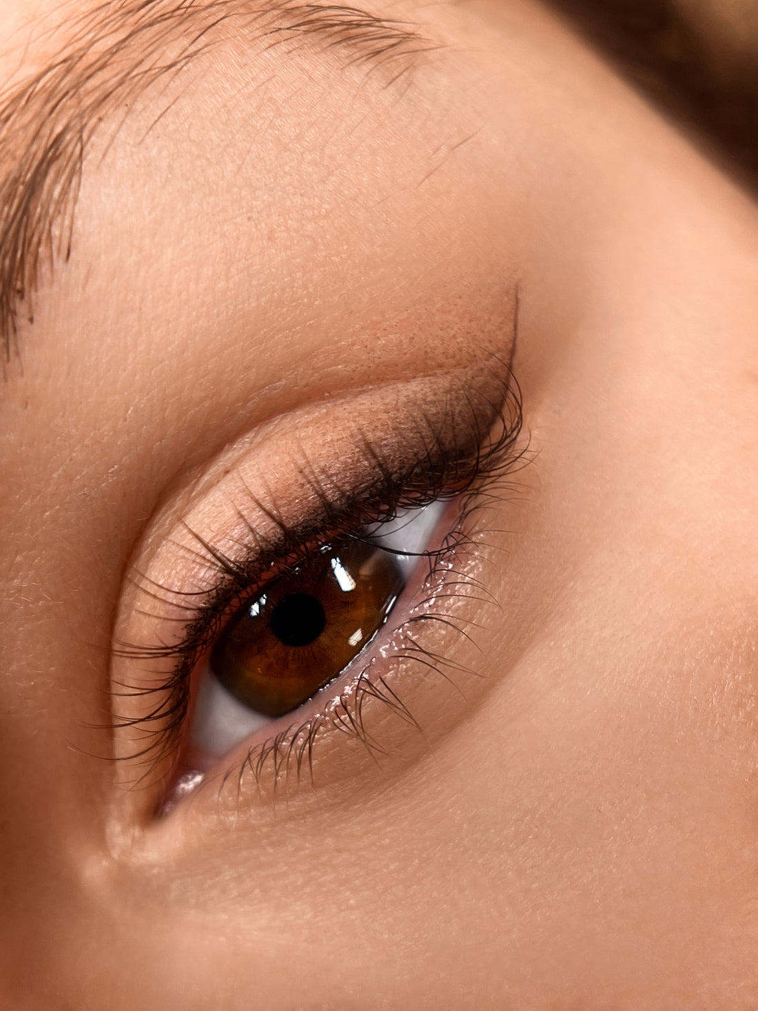 Todo sobre el entrenamiento en línea de sombreado